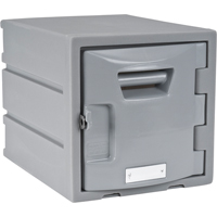 Locker, 12" x 15" x 12", Grey, Assembled Mukwa Safety Services