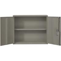 Armoire murale, Acier, 2 Tablettes, 30" h x 36" la x 12" P, Gris Mukwa Safety Services