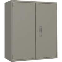 Armoire de rangement Lo-Boy, Acier, 2 Tablettes, 40" h x 36" la x 18" P, Gris Mukwa Safety Services