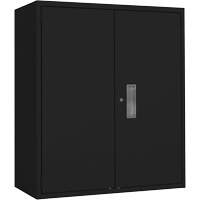 Armoire de rangement Lo-Boy, Acier, 2 Tablettes, 42" h x 36" la x 18" P, Noir Mukwa Safety Services