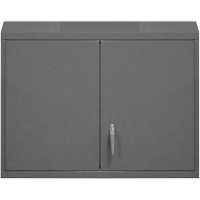 Armoire murale, 27" h x 29-7/8" la x 13-11/16" p, 2 tablettes, Acier, Gris Mukwa Safety Services