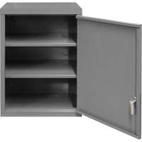 Armoire murale, 27" h x 13-11/16" la x 18" p, 2 tablettes, Acier, Gris Mukwa Safety Services