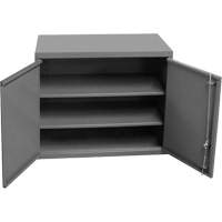 Armoire murale, 27" h x 13-11/16" la x 35-7/8" p, 2 tablettes, Acier, Gris Mukwa Safety Services