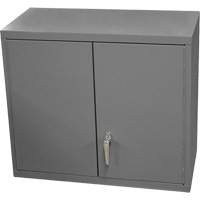 Armoire murale, 27" h x 13-11/16" la x 35-7/8" p, 2 tablettes, Acier, Gris Mukwa Safety Services