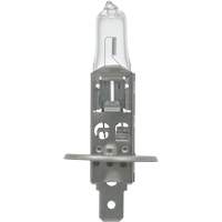 64155 Basic Automotive Bulb, Halogen, 78 W, Off White Mukwa Safety Services