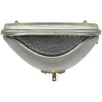 Phare automobile scell&eacute; XtraVision H6054, Halog&egrave;ne, 55 W, Blanc cass&eacute; Mukwa Safety Services