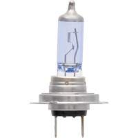 Ampoule de feu avant SilverStar zXe H7, Halog&egrave;ne/DHI, 56 W, Blanc Mukwa Safety Services