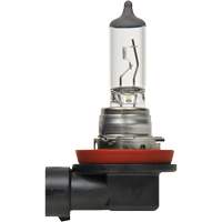 Ampoule de base pour feu avant H8, Halog&egrave;ne, 35 W, Blanc cass&eacute; Mukwa Safety Services
