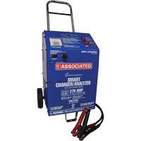 Intellamatic&reg; 12 V Smart Charger & Analyzer Mukwa Safety Services