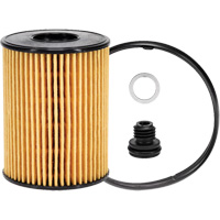 P40164 &eacute;l&eacute;ment filtrant pour l'huile Mukwa Safety Services