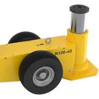 Mammut Jack, 110 Ton(s), Air Hydraulic Mukwa Safety Services