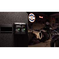 Chargeur de batterie 2 sorties de 4 A Genius 2X2 Mukwa Safety Services