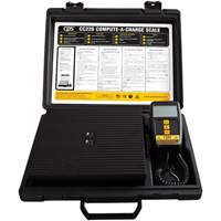 Balance &agrave; r&eacute;frig&eacute;rant Compute-a-Charge Mukwa Safety Services