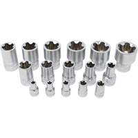 5-Point EPR Torx Socket Set, 16 Pieces, 1/4"/3/8"/1/2" Drive Size Mukwa Safety Services