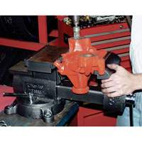 KT4800 Professional Reversible Mechanics Vise, 8" Jaw Width, 4-7/8" Throat Depth, Swivel Base Mukwa Safety Services