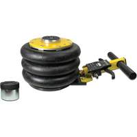 V&eacute;rin &agrave; coussin gonflable triphas&eacute; s&eacute;rie Pro, 2 tonne(s), 22" Hauteur &eacute;lev&eacute;e Mukwa Safety Services