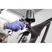 Performance Fine Finish Spray Gun System with PPS Cups, 13 CFM, 29 PSI Mukwa Safety Services