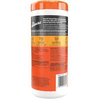 Original Protectant Wipes Mukwa Safety Services
