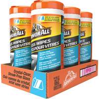 Glass Wipes Mukwa Safety Services