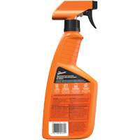 Multi-Purpose Auto Cleaner, 16 oz./473 ml, Trigger Bottle Mukwa Safety Services