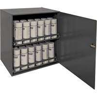 Aerosol Storage Cabinet, Steel, 21-7/8" H x 15-15/16" W x 20-5/16" D, Grey Mukwa Safety Services