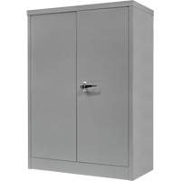 Counter-High Storage Cabinet, Steel, 2 Shelves, 42" H x 48" W x 24" D, Grey Mukwa Safety Services
