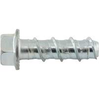 Boulons Wedge Bolts, Acier au carbone, 1/2" x 2" Mukwa Safety Services
