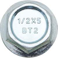 Boulons Wedge Bolts, Acier au carbone, 1/2" x 2" Mukwa Safety Services