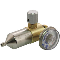 Gas Regulator Mukwa Safety Services