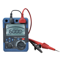 Insulation Resistance Tester, Digital Mukwa Safety Services