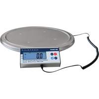 Keg Weighing Scale, 200 kg Capacity Mukwa Safety Services