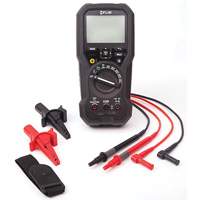 Insulation Tester and Digital Multimeter with METERLiNK&reg;, Digital Mukwa Safety Services