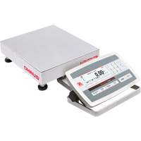 Bench Top Scales