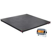 Balance de plancher DEFENDER 3000, Capacit&eacute; de 2500 lb, 48" la x 48" lo Mukwa Safety Services