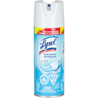 Disinfectant Spray, 350 g, Aerosol Can Mukwa Safety Services