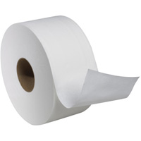 Advanced Soft Mini Toilet Paper, Jumbo Roll, 2 Ply, 751' Length, White Mukwa Safety Services