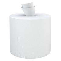 Everest Pro Paper Towel Rolls, 2 Ply, Centre Pull, 500' L Mukwa Safety Services
