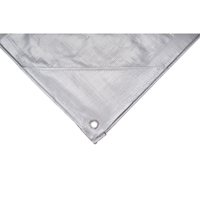 B&acirc;che, Super robuste, Argent, 10' x 8' x 12 mils Mukwa Safety Services