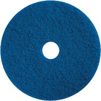 Floor Machine Pads