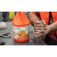 Orange Hand Cleaner, Pumice, 3.6 L, Jug, Orange Mukwa Safety Services