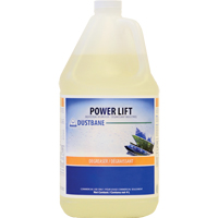 D&eacute;graissant industriel Power Lift, 4 L, Cruche Mukwa Safety Services