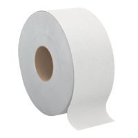 Pro Select Toilet Paper, Jumbo Roll, 2 Ply, 500' Length, White Mukwa Safety Services