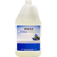 Hygo H2O Dust Control Treatment, 4 L, Jug Mukwa Safety Services