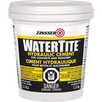 Watertite&reg; Hydraulic Cement Mukwa Safety Services
