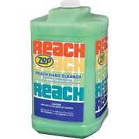 Reach Extra Heavy-Duty Hand Cleaner, Pumice, 3.78 L, Jug, Scented Mukwa Safety Services