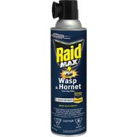 Mousse insecticide contre les gu&ecirc;pes et les frelons Raid Max, 500 g, Canette a&eacute;rosol, &agrave; base de solvant Mukwa Safety Services