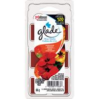 Cubes de cire parfum&eacute;e Glade, Brise exotique Mukwa Safety Services