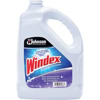 Nettoyant multi-surface non ammoniac&eacute; de Windex, 3,8 L, Cruche Mukwa Safety Services