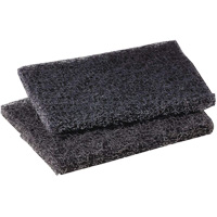 Scotch-Brite Griddle Polishing Pad, 4" L x 5" W Mukwa Safety Services