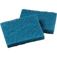 Non-Stick Cookware Cleaning Pad, Scrubbing, 5-1/4" W x 4" L Mukwa Safety Services